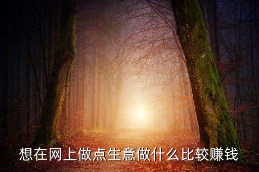 想在網(wǎng)上做點(diǎn)生意做什么比較賺錢