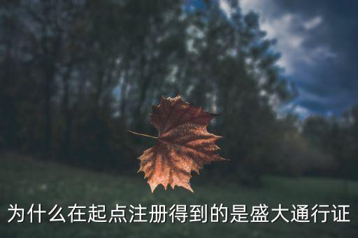 盛大為什么要買起點，為什么在起點注冊得到的是盛大通行證