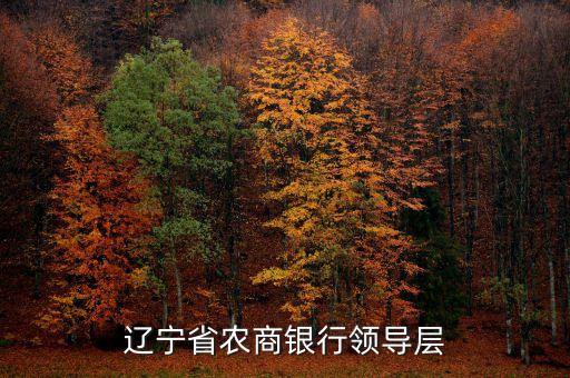 遼寧什么信用聯(lián)社理事長名單，遼寧省農(nóng)村信用社聯(lián)合社現(xiàn)在叫什么名