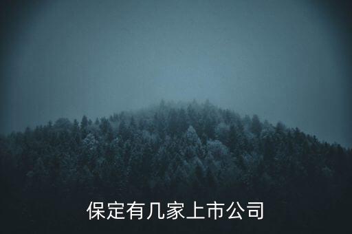 保定有幾家上市公司