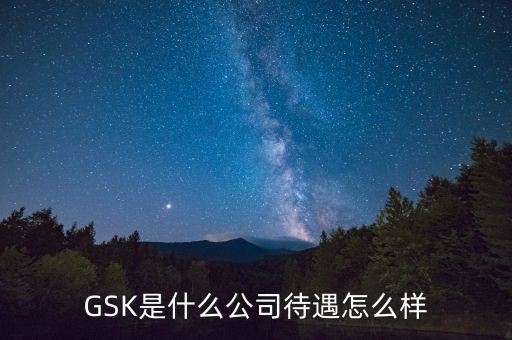 gsk公司的價(jià)值觀是什么，GSK是什么意思