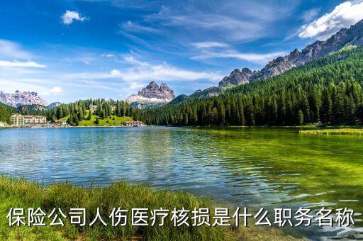 人傷核損崗是什么工作，保險公司人傷醫(yī)療核損是什么職務名稱