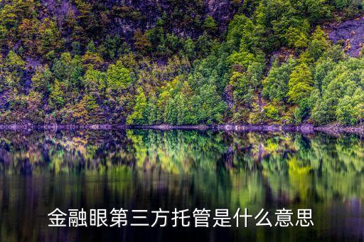 金融眼第三方托管是什么意思