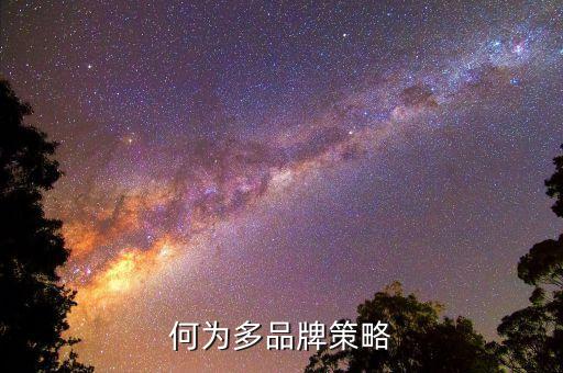 什么是多策略，何為多品牌策略