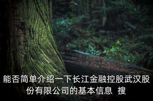 武漢自貿(mào)區(qū)什么時(shí)候公布，能否簡單介紹一下長江金融控股武漢股份有限公司的基本信息  搜