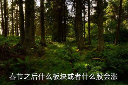 春節(jié)什么板塊股票活躍，根據(jù)以往的情況臨近過年時(shí)什么板塊比較活躍