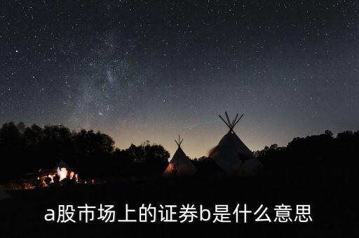 a股市場上的證券b是什么意思