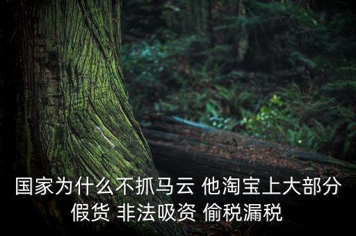 國(guó)家為什么不抓馬云 他淘寶上大部分假貨 非法吸資 偷稅漏稅