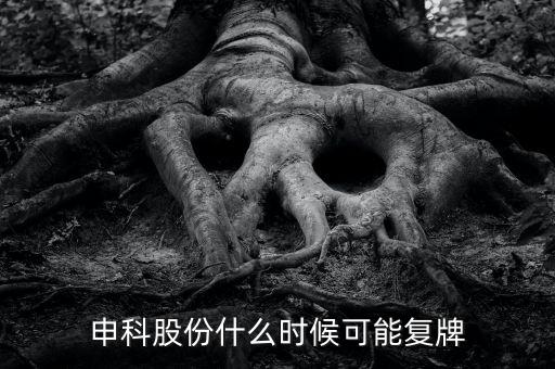 300097股什么時(shí)候復(fù)牌，申科股份什么時(shí)候可能復(fù)牌
