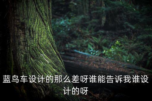 藍(lán)鳥(niǎo)車(chē)設(shè)計(jì)的那么差呀誰(shuí)能告訴我誰(shuí)設(shè)計(jì)的呀