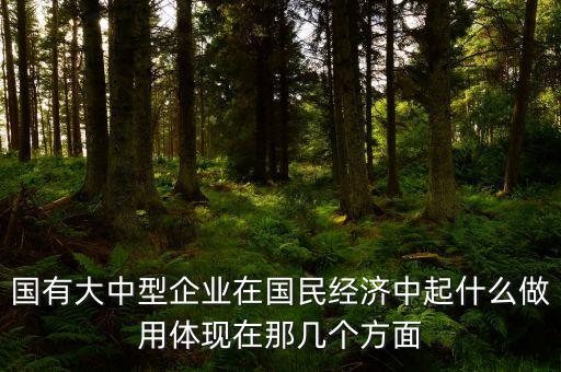 國(guó)有大中型企業(yè)在國(guó)民經(jīng)濟(jì)中起什么做用體現(xiàn)在那幾個(gè)方面