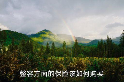 整容方面的保險(xiǎn)該如何購買