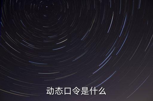 股票動(dòng)態(tài)口令是什么意思，動(dòng)態(tài)口令是什么
