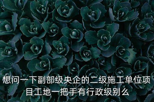 央企二級公司經(jīng)理是什么級別，央企比如移動 電信 聯(lián)通 中石油石化 這些企業(yè)縣的老總是什么級別