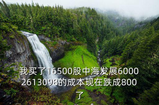 我買(mǎi)了16500股中海發(fā)展60002613098的成本現(xiàn)在跌成800了