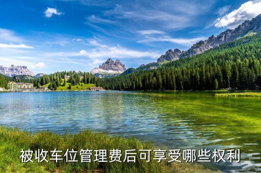 路邊車位管理費管的什么責任，被收車位管理費后可享受哪些權利