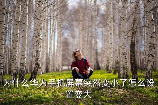 為什么華為手機(jī)屏幕突然變小了怎么設(shè)置變大