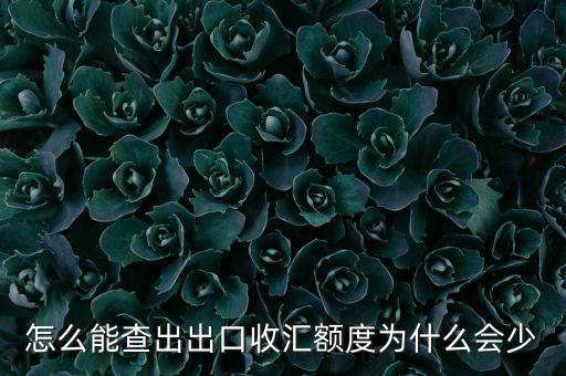 進(jìn)出口額度下降為什么，2016進(jìn)出口為什么下降這么厲害