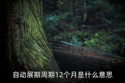 自動展期周期12個月是什么意思