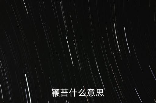 nongaap什么意思，索驥是什么意思