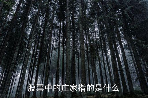 股票中的莊家指的是什么