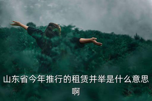 什么是租售并舉，山東省今年推行的租賃并舉是什么意思啊