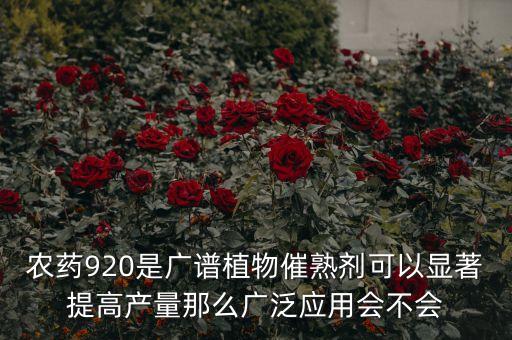 920農(nóng)產(chǎn)品起什么作用，明基G920WAL產(chǎn)品質(zhì)量和效果如何