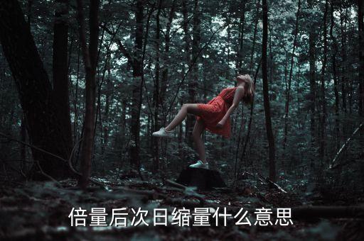 倍量后次日縮量什么意思