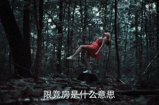 限競房是什么意思