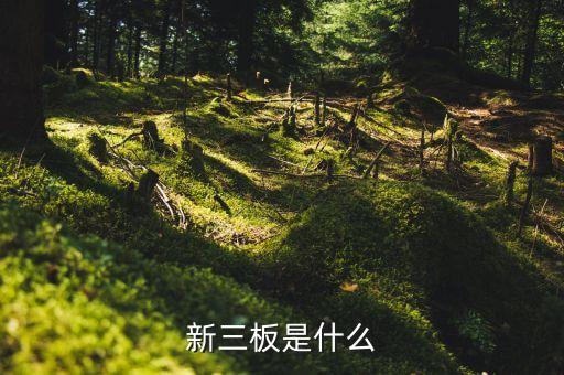 430002是什么股票，中科軟股票是多少在哪個(gè)證券所