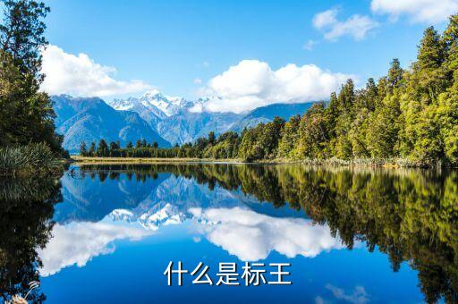 什么是標(biāo)王