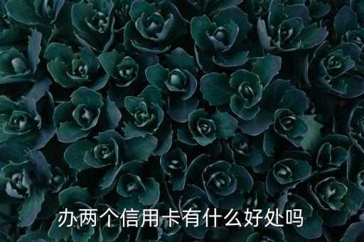 雙標(biāo)信用卡有什么好處，去歐洲辦雙標(biāo)信用卡還是單標(biāo)信用卡