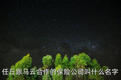 任丘跟馬云合作的保險(xiǎn)公司叫什么名字