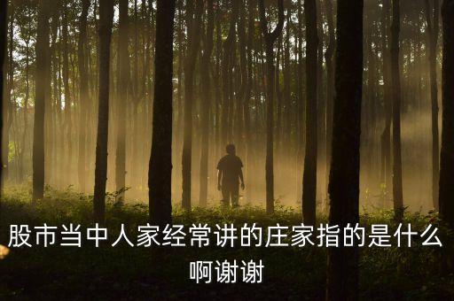 炒股莊家是什么，股票的莊家是指