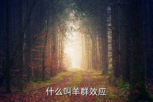 什么叫做羊群效應(yīng)，什么是羊群效應(yīng)