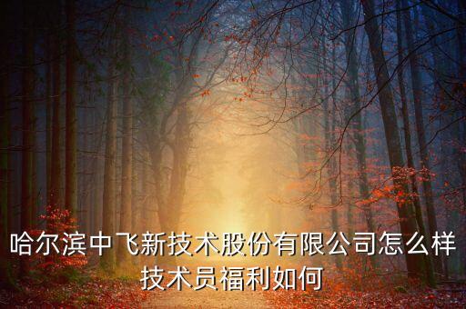 中飛股份公司做什么的，哈爾濱中飛新技術(shù)股份有限公司怎么樣技術(shù)員福利如何