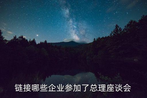 鏈接哪些企業(yè)參加了總理座談會(huì)