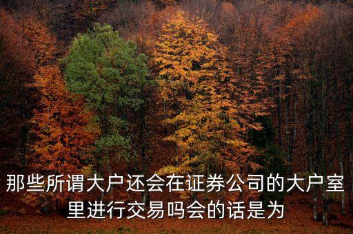 那些所謂大戶還會(huì)在證券公司的大戶室里進(jìn)行交易嗎會(huì)的話是為
