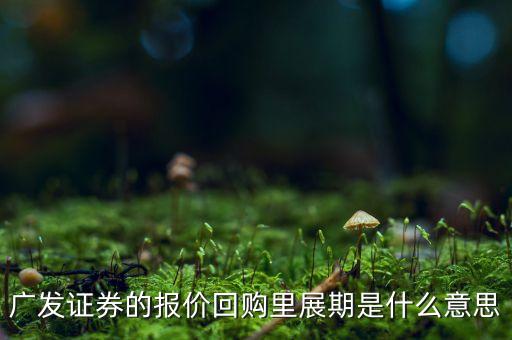 廣發(fā)證券的報(bào)價(jià)回購里展期是什么意思