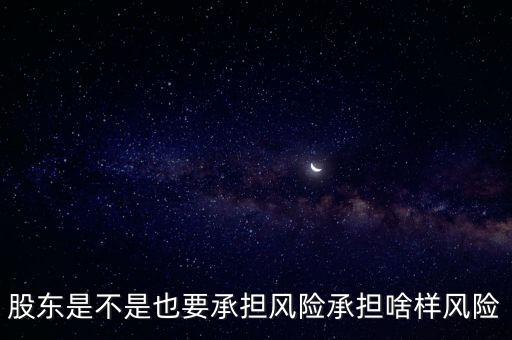 股東是不是也要承擔風險承擔啥樣風險