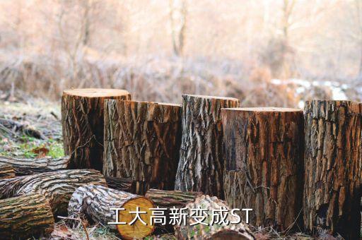 工大高新變成ST