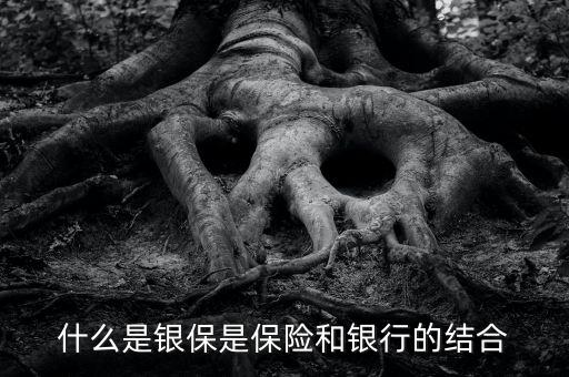 什么是銀保是保險(xiǎn)和銀行的結(jié)合