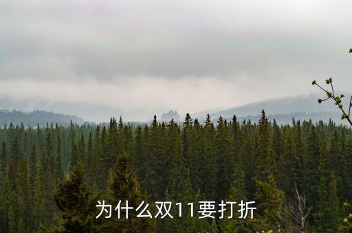 為什么雙11要打折，為什么雙11要打折