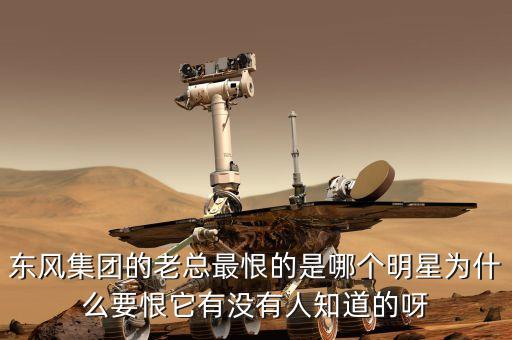 東風(fēng)集團(tuán)的老總最恨的是哪個明星為什么要恨它有沒有人知道的呀
