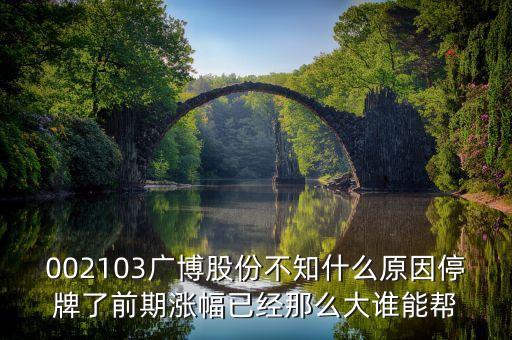 廣博股份什么時(shí)候復(fù)牌，002103廣博股份不知什么原因停牌了前期漲幅已經(jīng)那么大誰(shuí)能幫