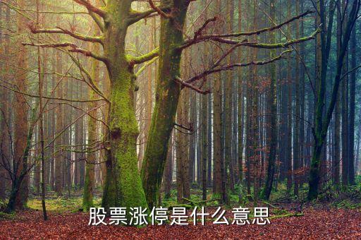 股票漲停是什么意思