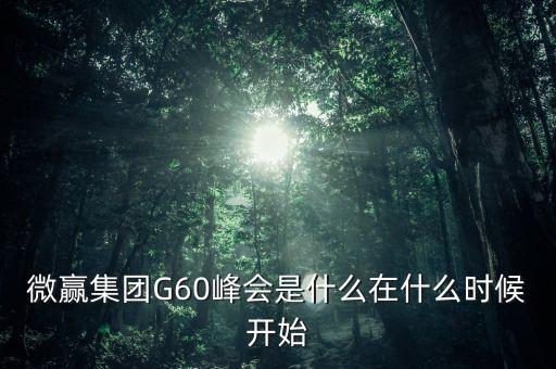 微贏集團(tuán)G60峰會是什么在什么時候開始