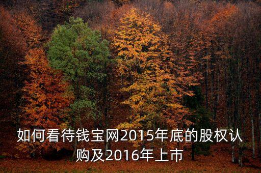 如何看待錢寶網(wǎng)2015年底的股權(quán)認(rèn)購及2016年上市