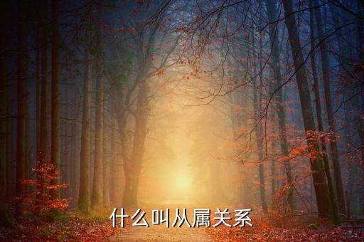 什么是中糧系，什么叫從屬關(guān)系