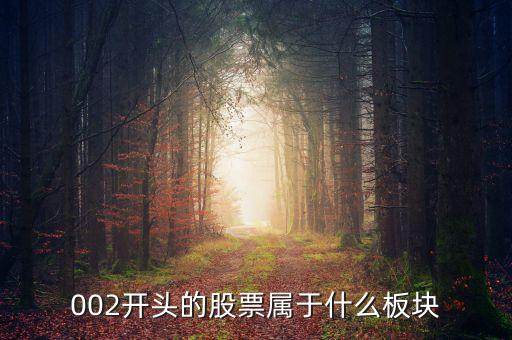 002開(kāi)頭的股票屬于什么板塊